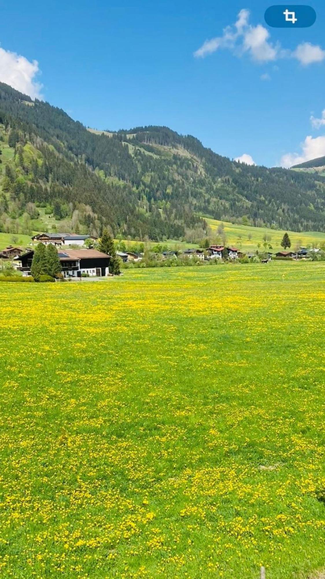 Landhaus Feller 라이스베이키츠부헬 외부 사진
